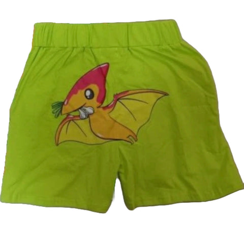 Veggisaurus Dinosaur Matching Shorts