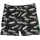 T-Rex Dinosaurs Shorts