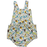 It's A Baby Boy Romper