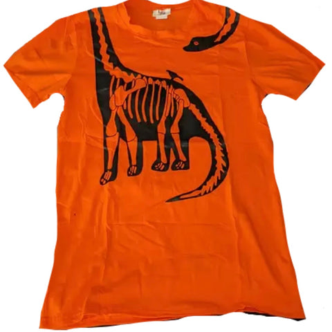 * Dinosaur Matching Shirt Clearance xs S M L only