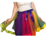 * Rainbow Tutu Skirt Clearance 4x only