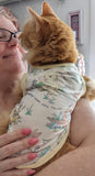 Little Bear Pet Dog Cat Matching T-Shirts Clearance
